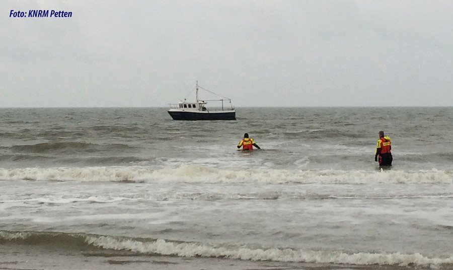 Jonge zeehond van wisse dood gered